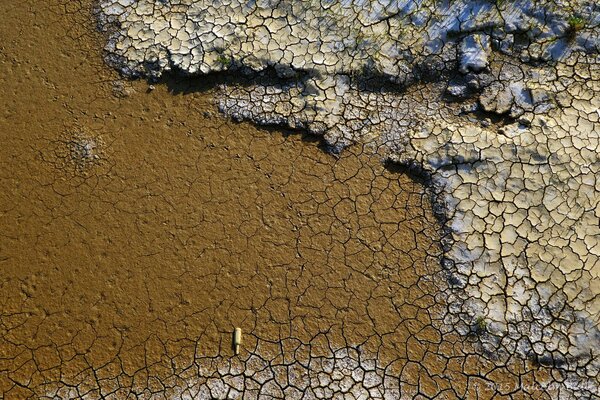 Küstenbild , Steine im Sand