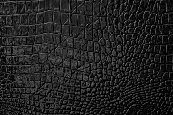 Texture de peau de serpent noir