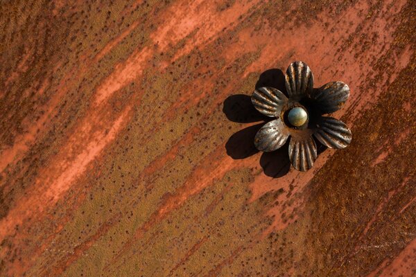 Metal flower with shadow on the background