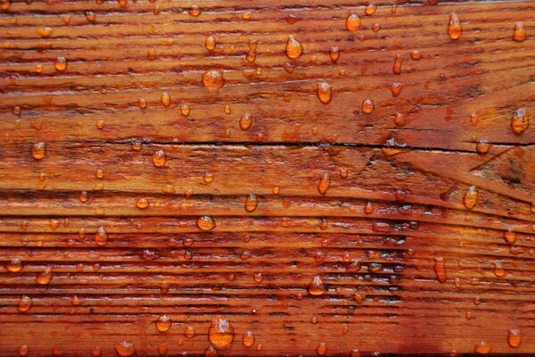 Background texture of a board with water drops
