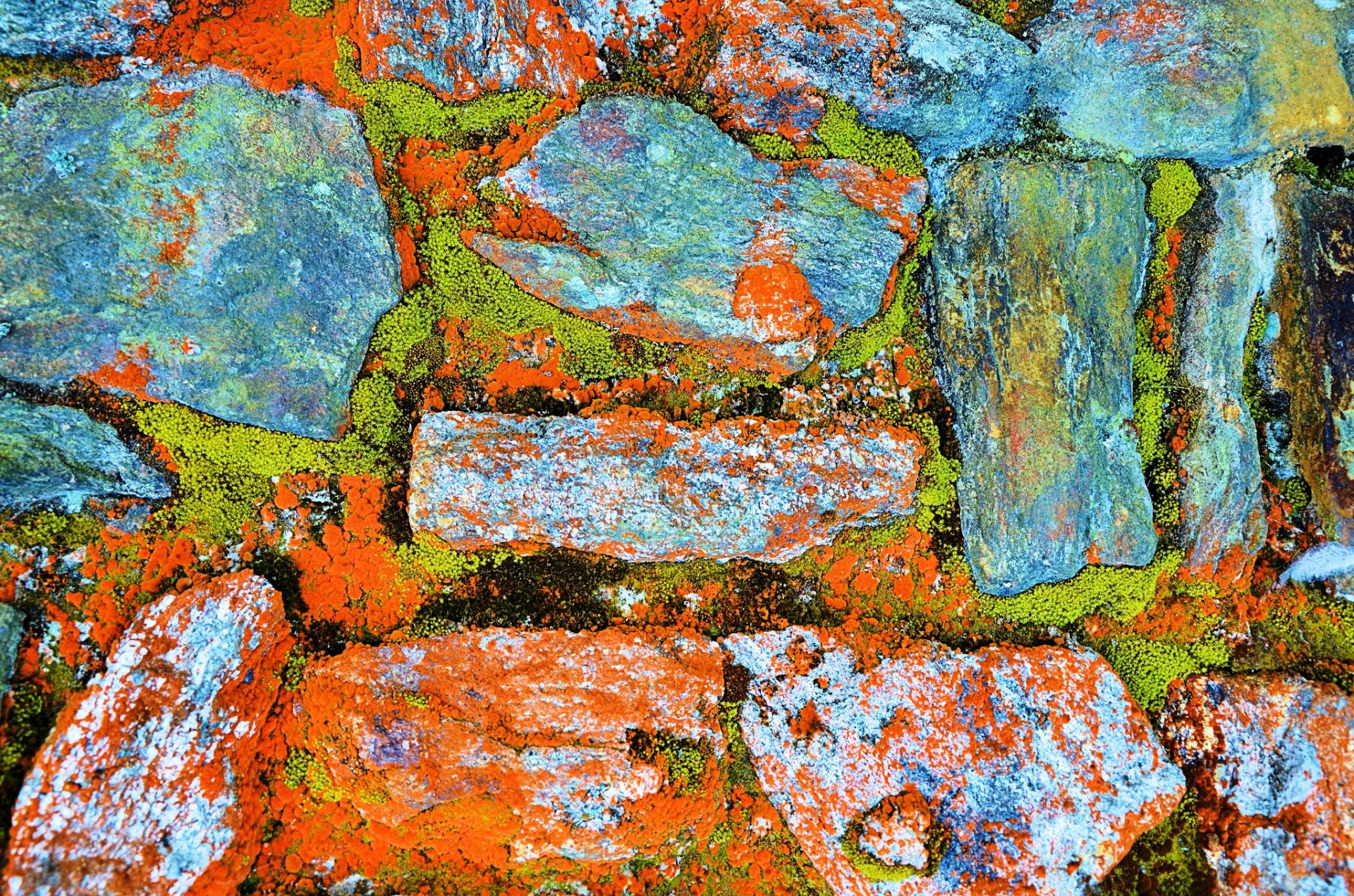 piedras musgo pared color pintura