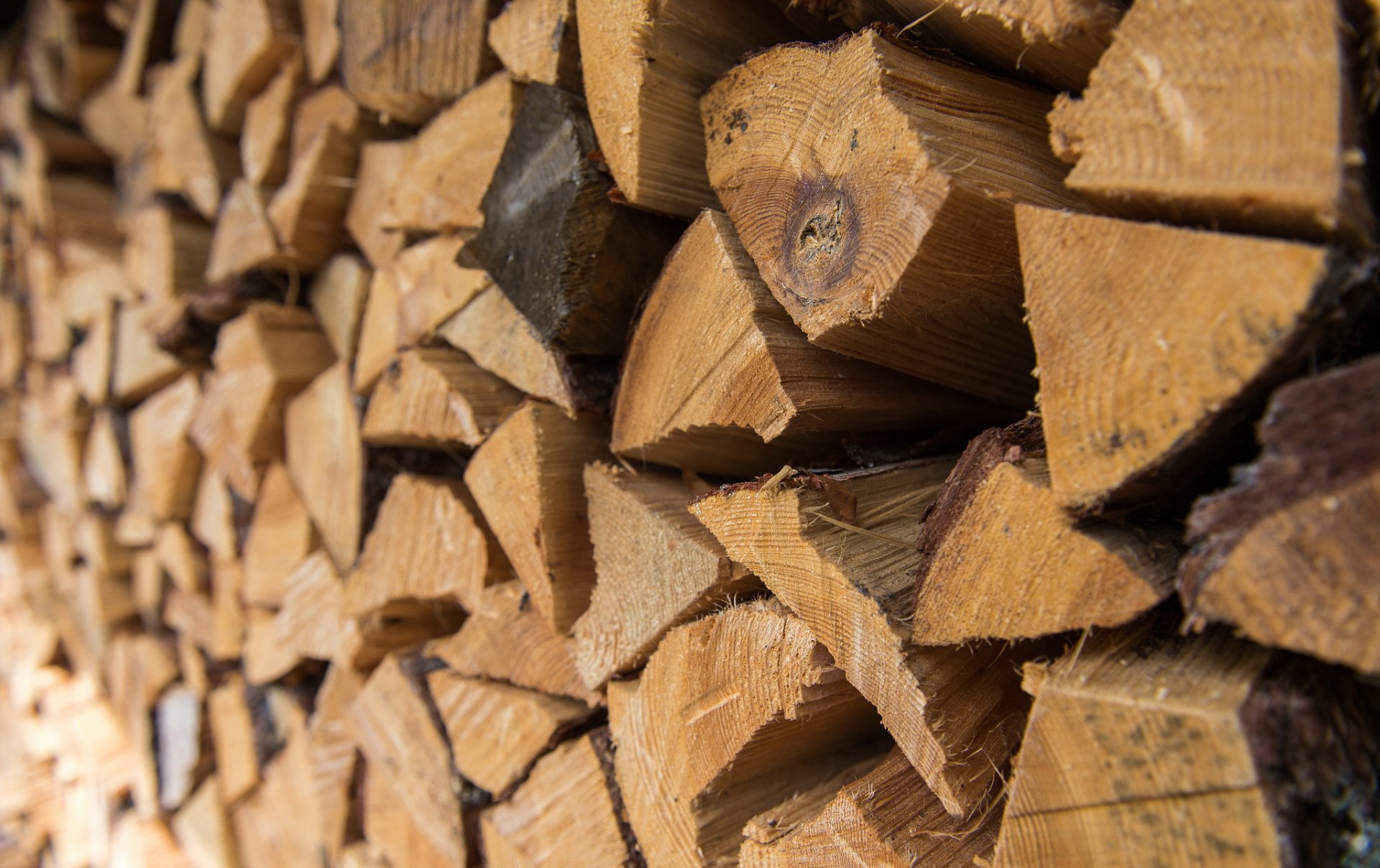 woodpile stack of wood firewood close up