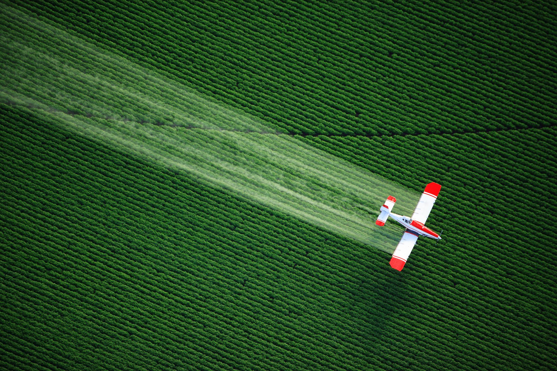 avion verde