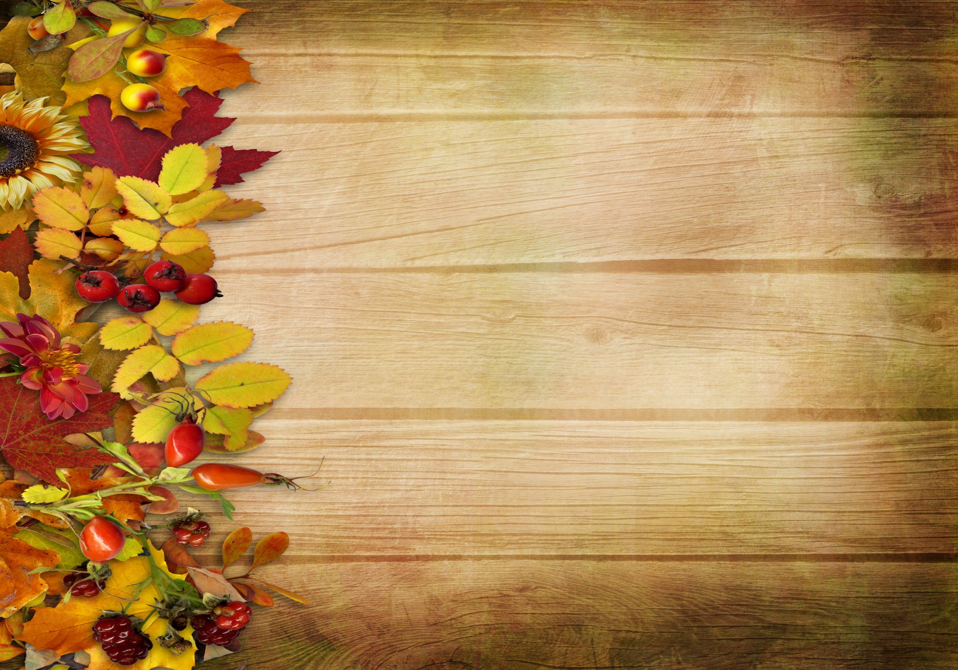 autumn vintage background leaves berries flower tree