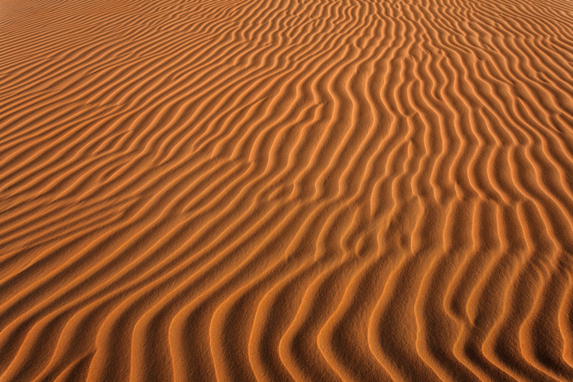 désert sable vagues nature