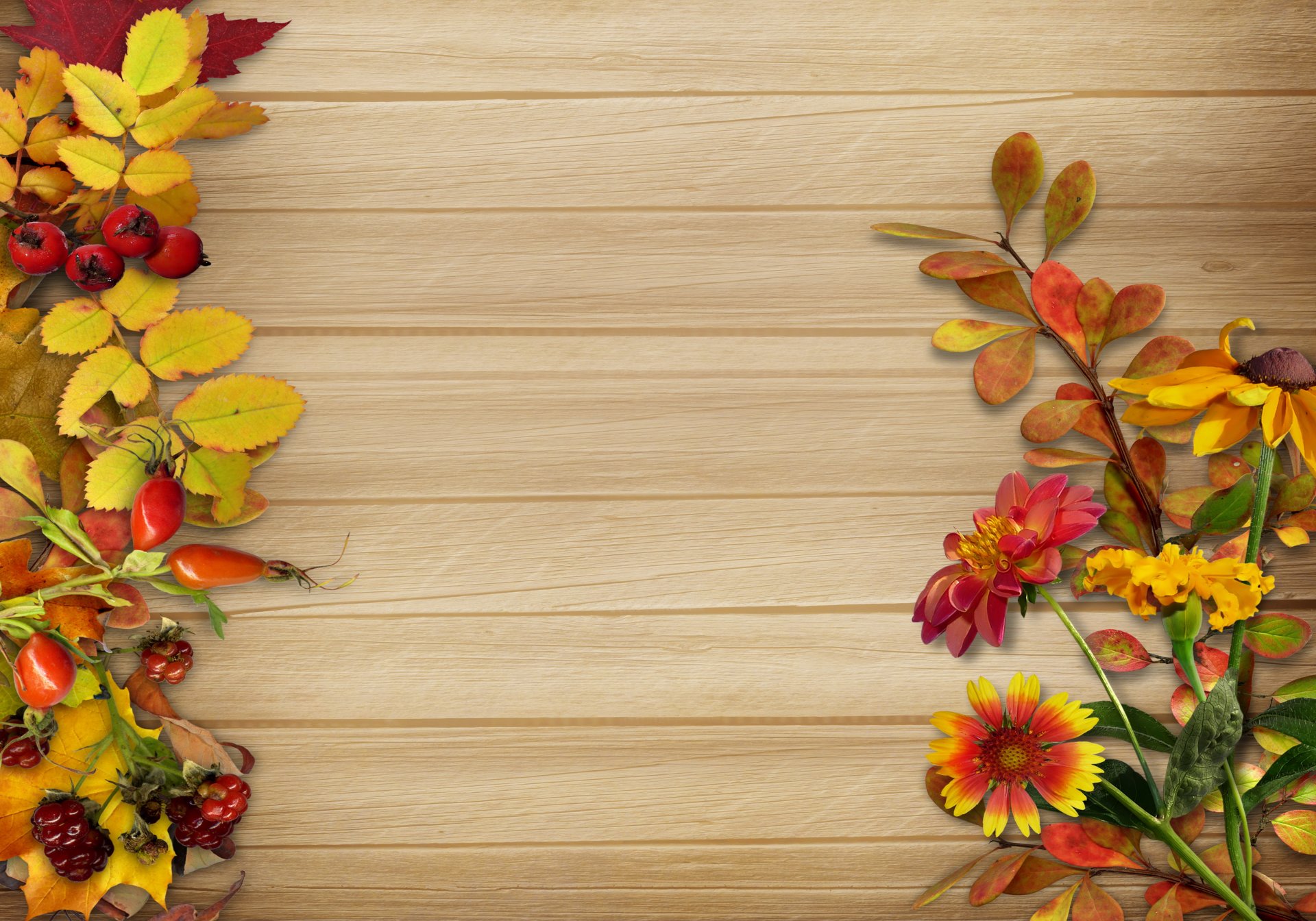 autumn vintage background leaves berries flower