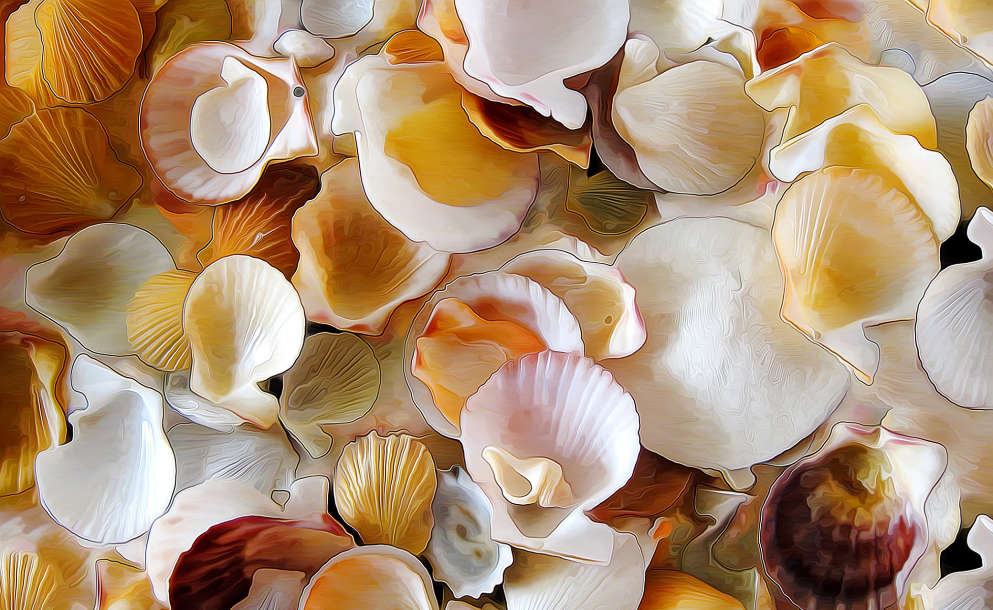 muscheln meer ufer muschel rendering zeichnung vektor