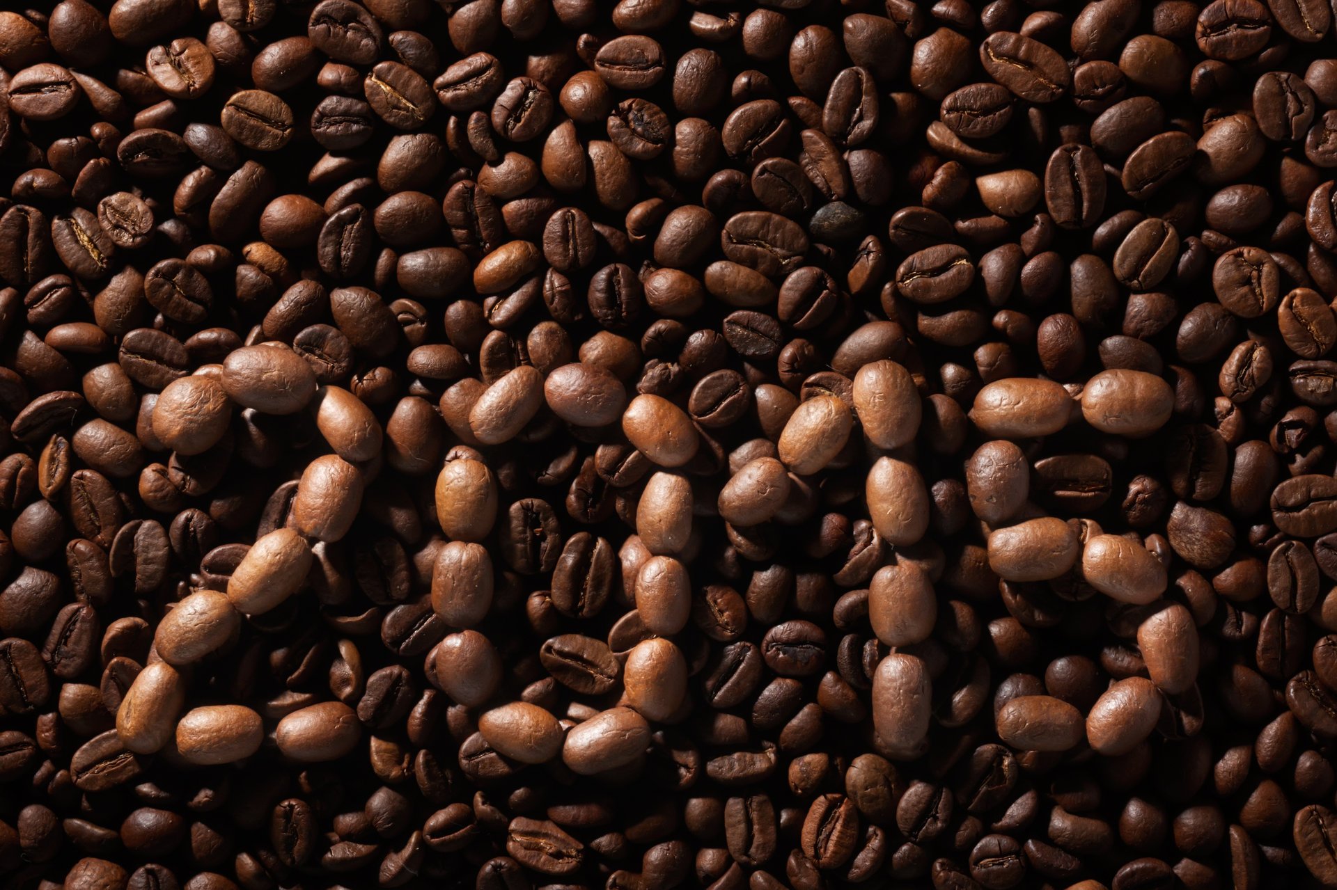 caffè fagioli sfondo 2015 texture