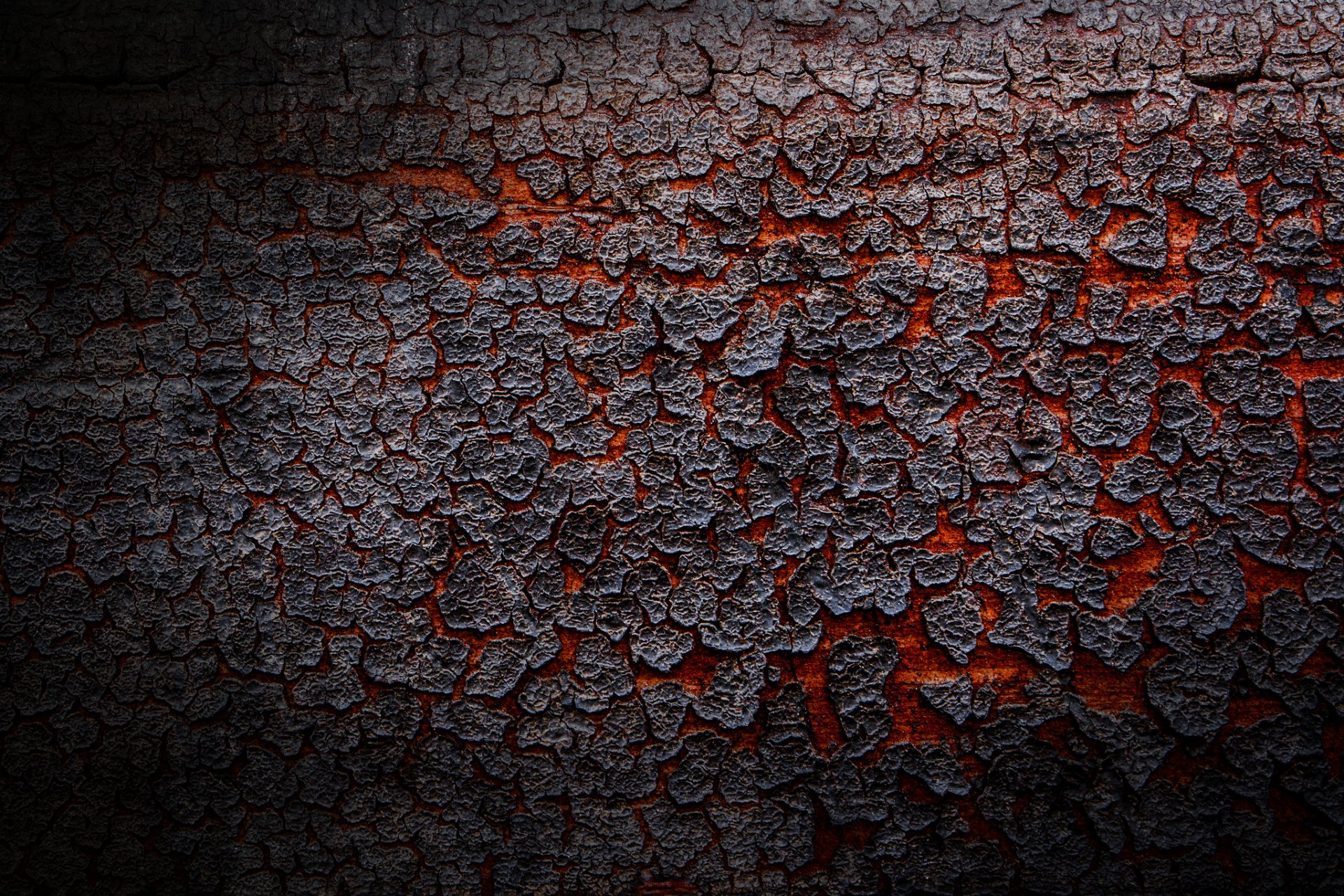 bark lava texture