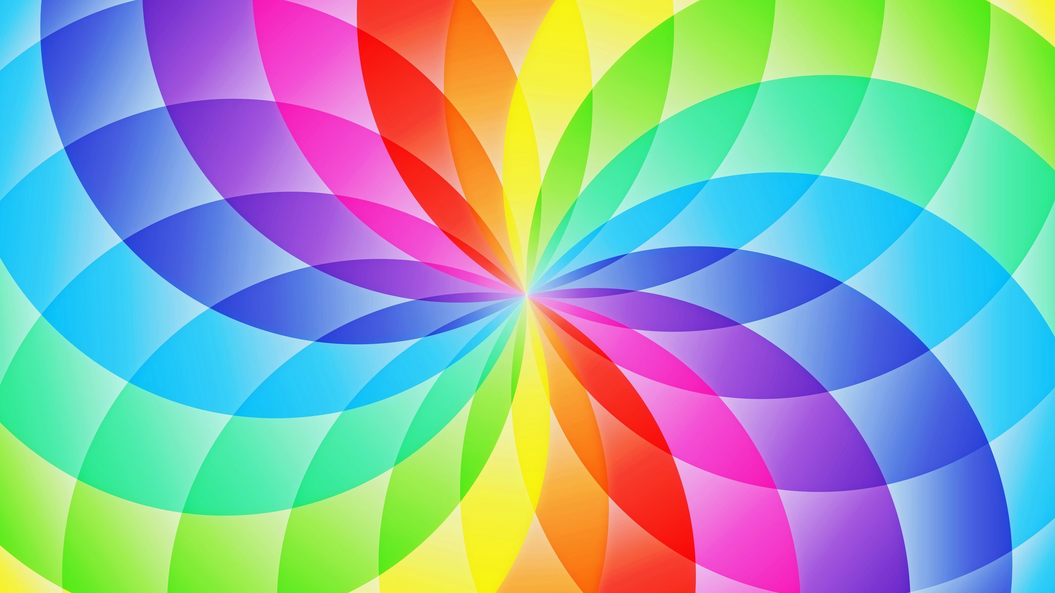 circle sector flower rainbow pattern petals abstract