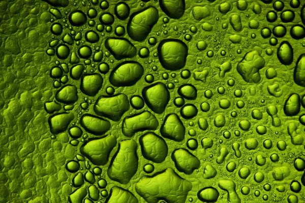 Large drops on a green background