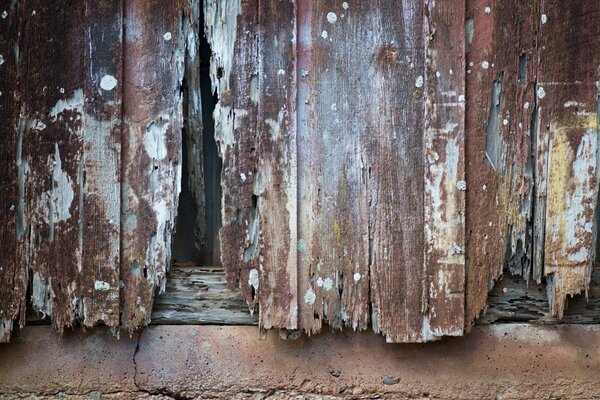 Aesthetic texture of a wooden fence