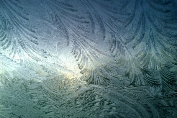 Motifs en hiver sur le verre dans le gel