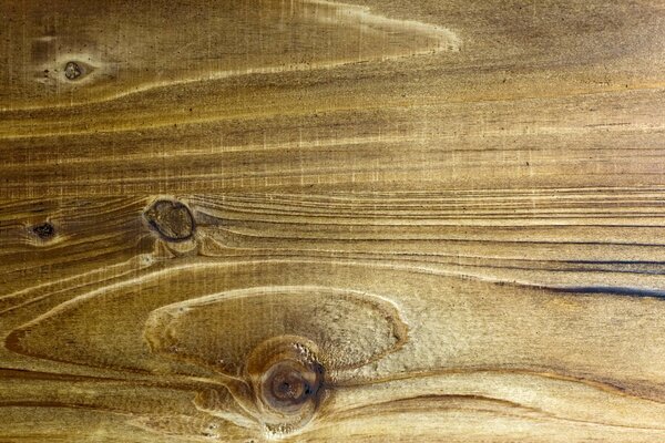 Texture du panneau en bois près