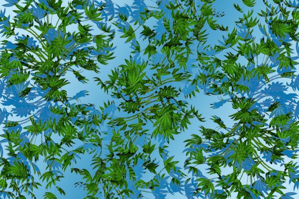 Zielone liście w niebieskiej wodzie