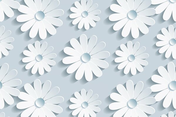 Marguerites 3D en vrac blanc sur fond gris