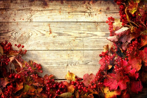 Beautifully laid out viburnum twigs on a wooden background