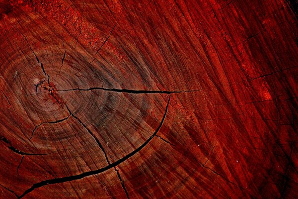 Textura de madera con grietas de color rojo