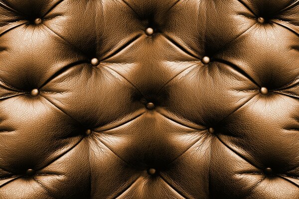 Upholstery texture made of prestigious leather