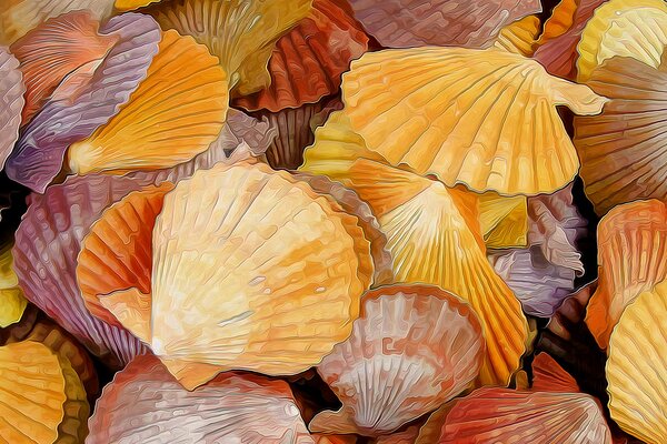 Drawing on seashells and shells