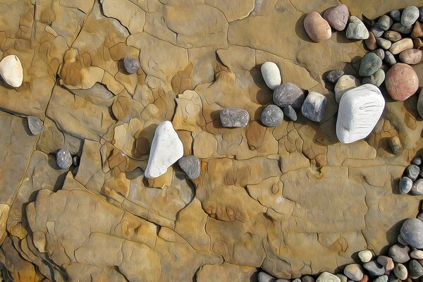 Suche skały morskie na skale