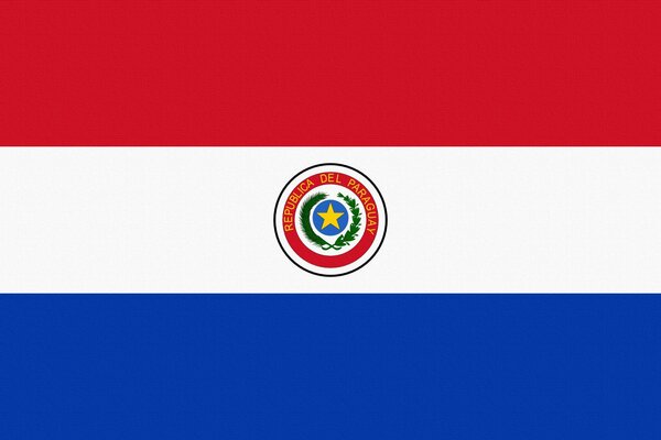 Bandera paraguaya sobre fondo blanco