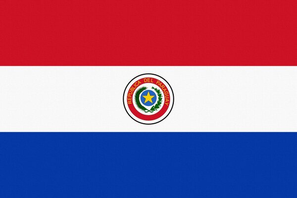 Bandiera paraguaiana su sfondo bianco