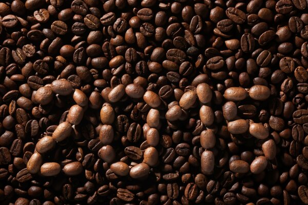 2015 year of beans on a coffee background