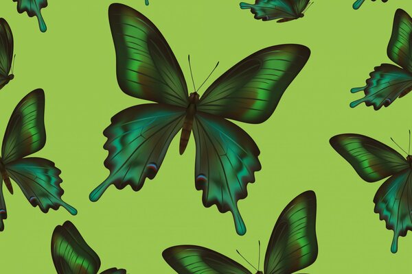 Turquoise-green butterflies on a green background