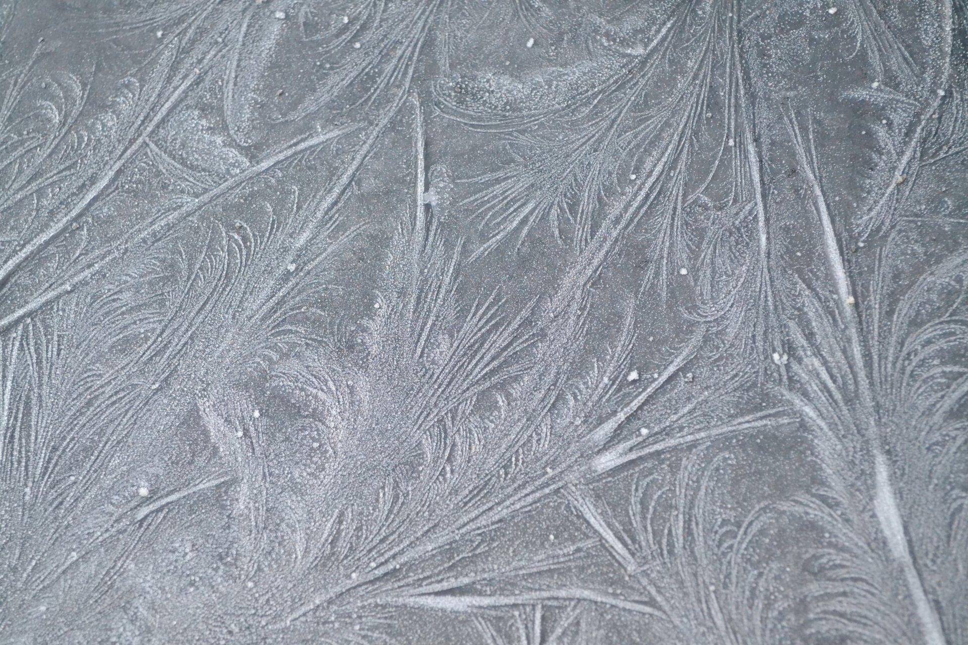 frost frost patterns lines texture