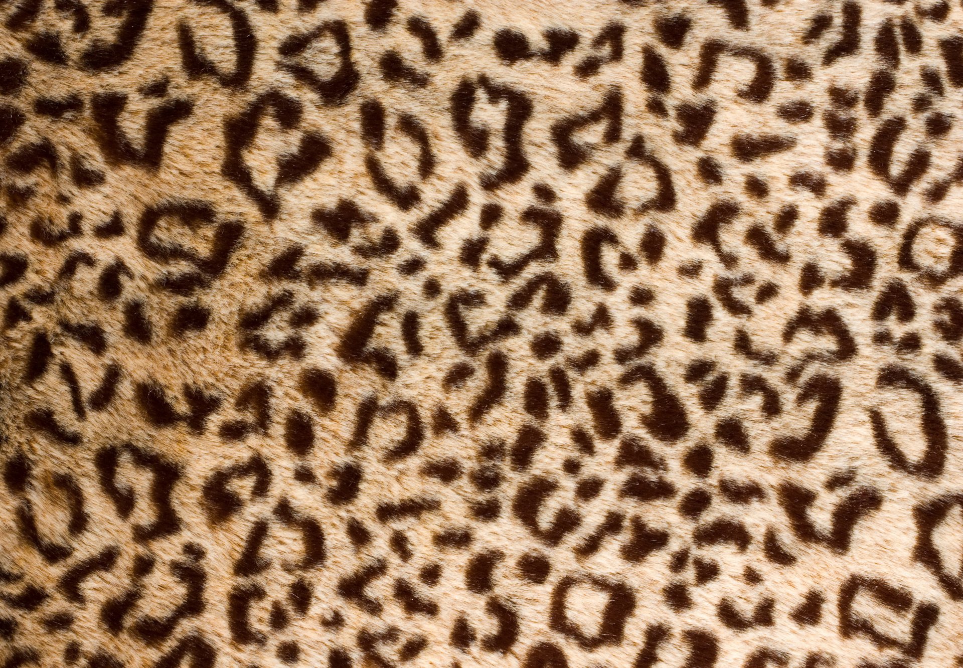 hide fur leopard