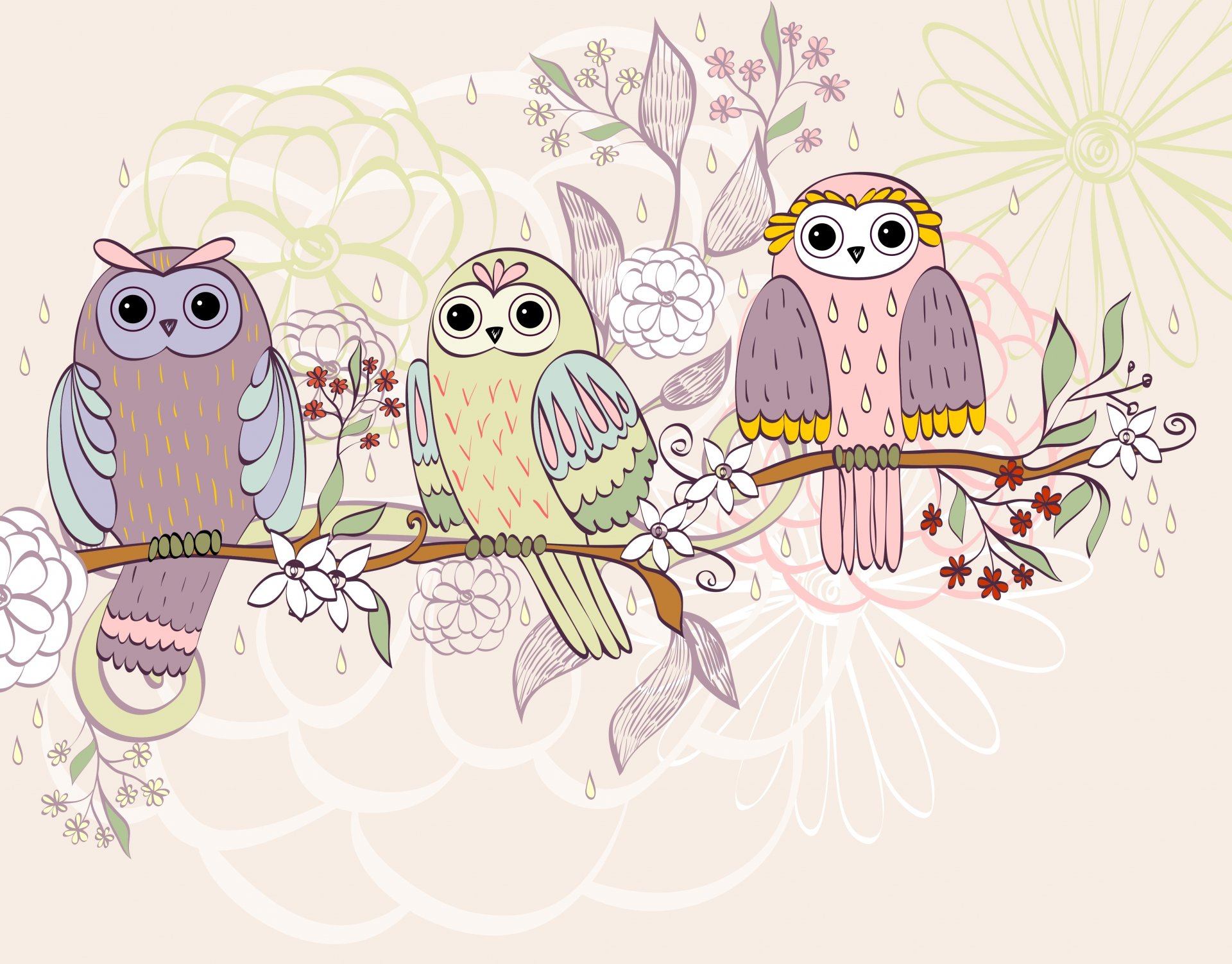 textures branch birds owl flower