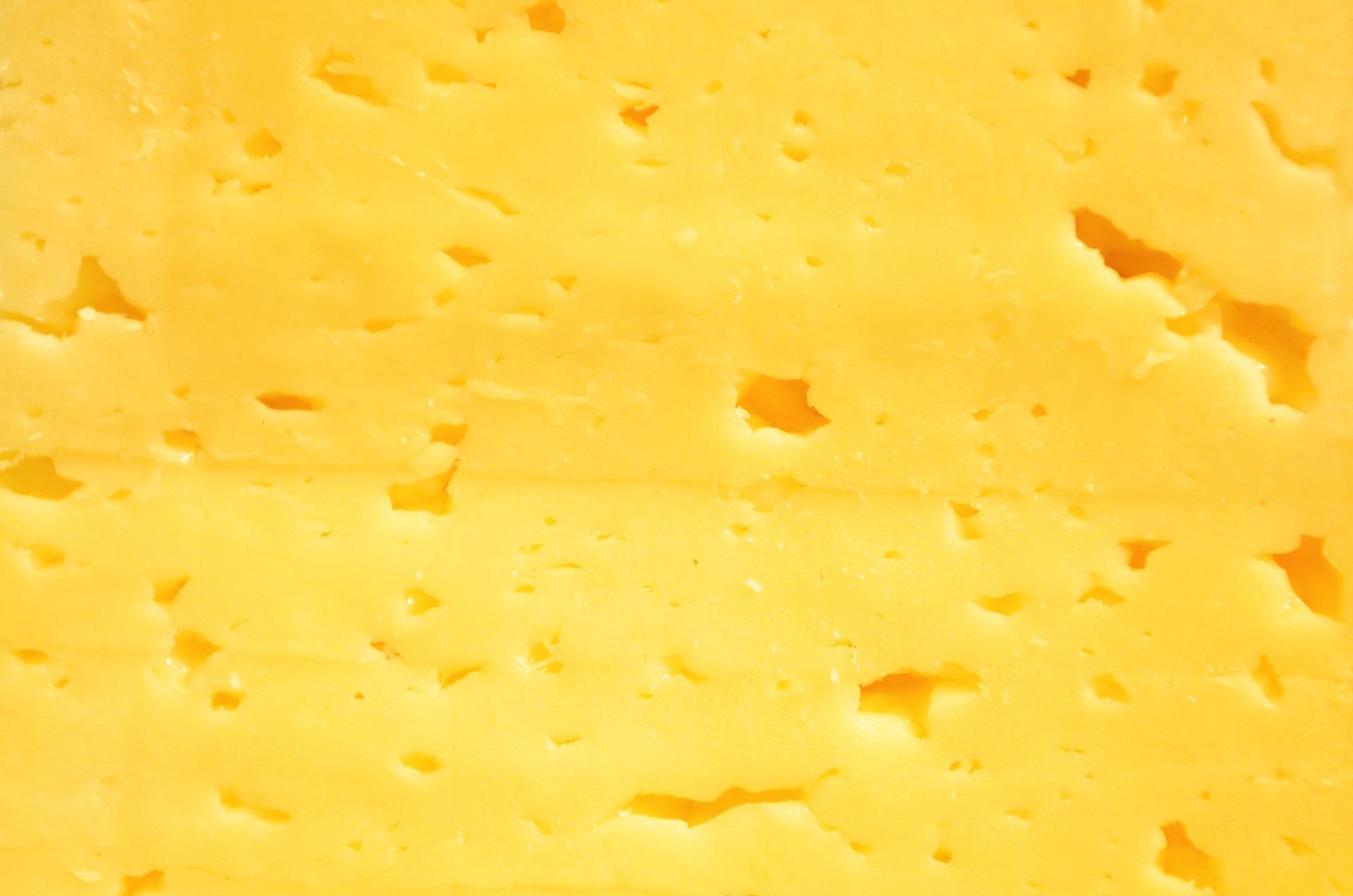 cheese food texture wallpaper picture photo photo