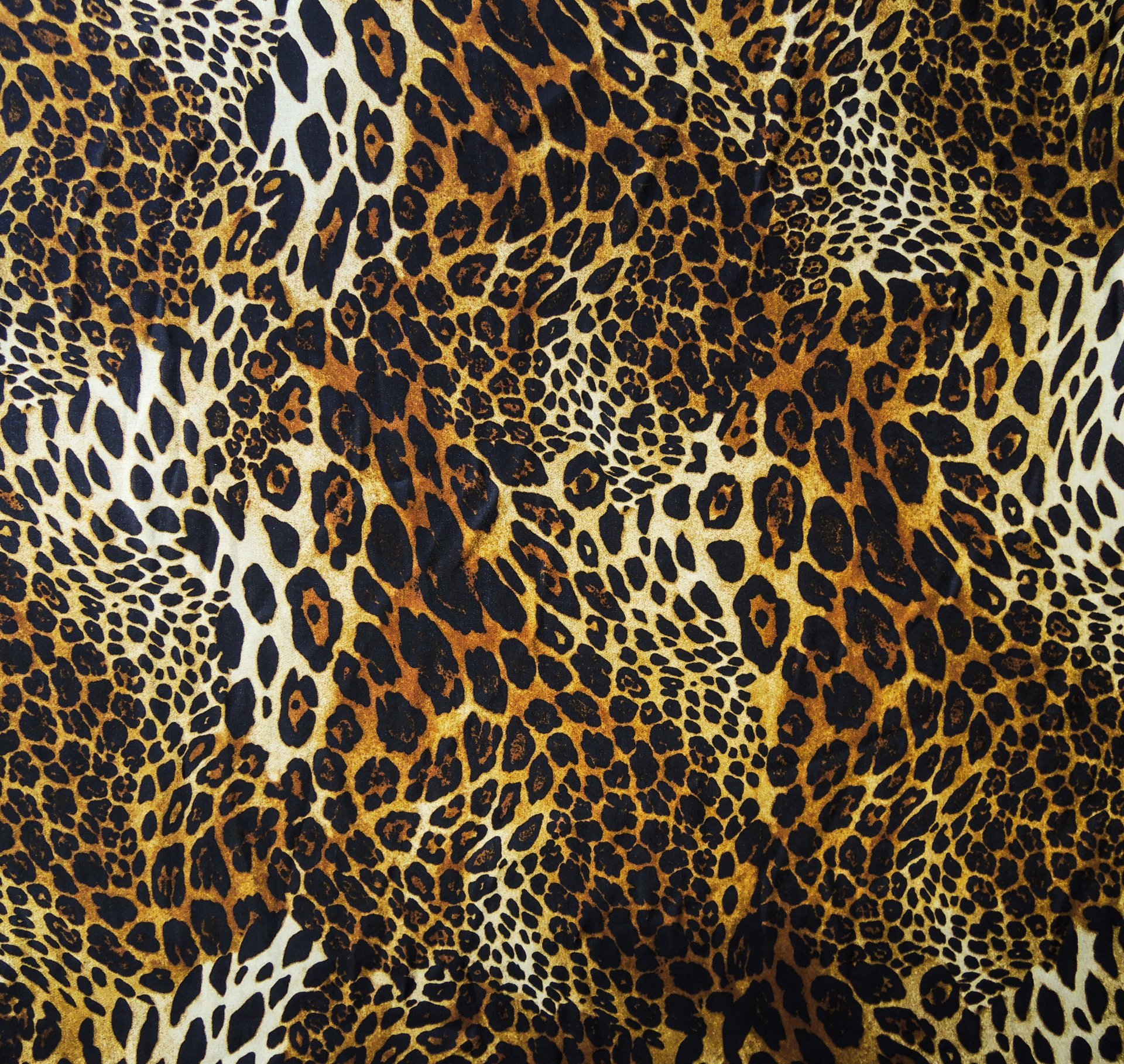 textures leopard fur wool hide