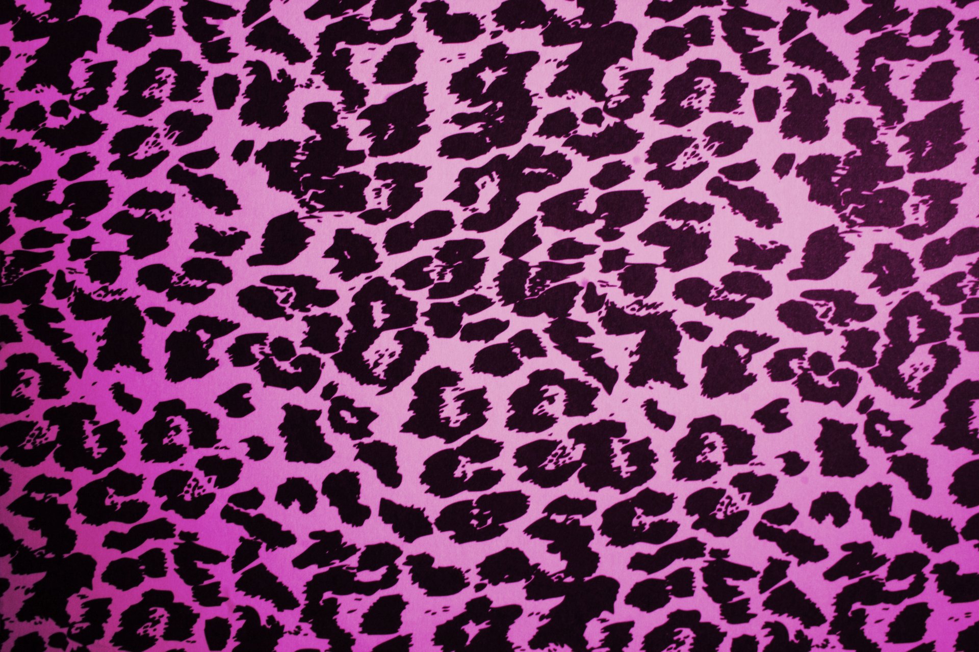 leopard pink texture