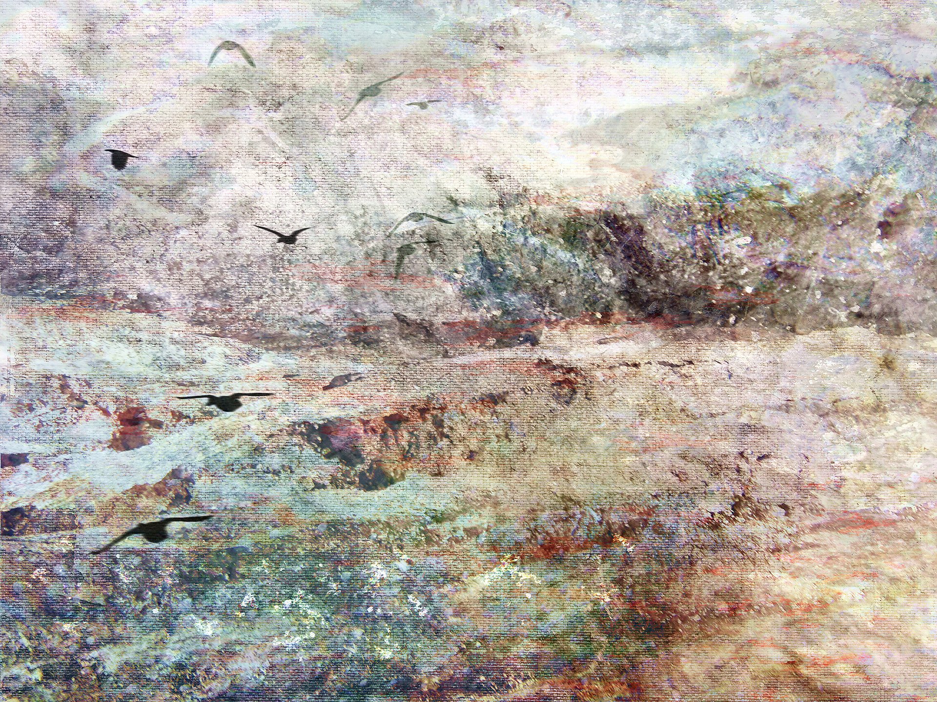 bernadette tuffs morning birds sea morning