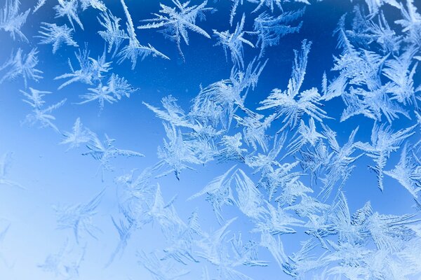 Winter patterns on frozen glass