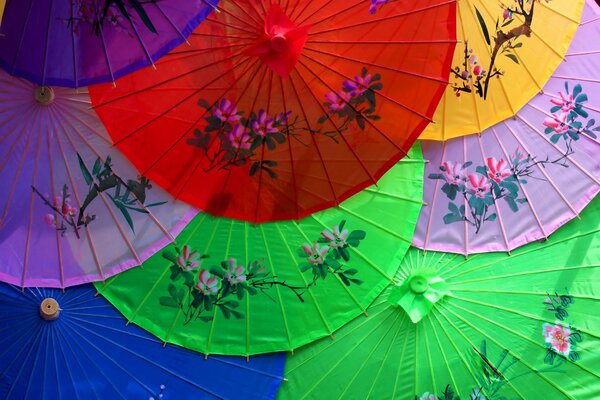 Beautiful Chinese umbrellas with flowers