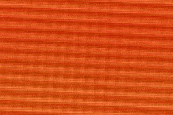 Orange background. Bright color