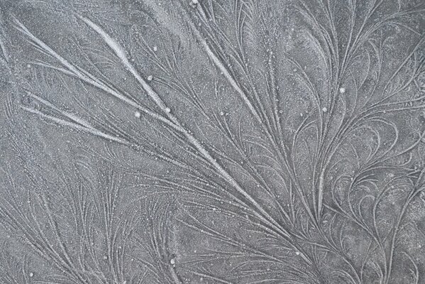 Grigio monocromatico frost pattern