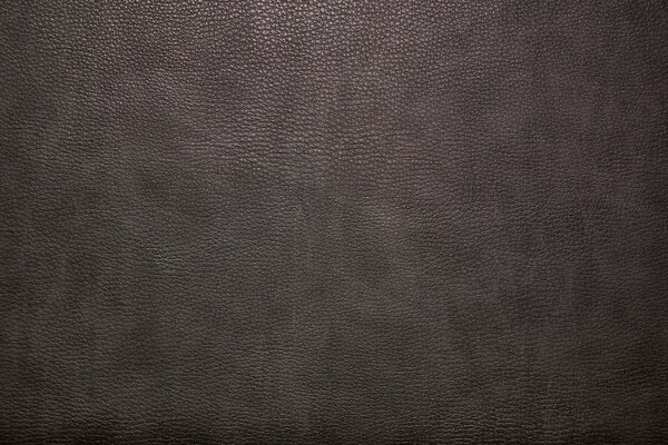 The skin is dark brown with shagreen