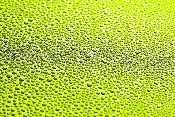 Water droplets on a green background