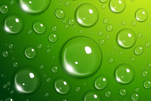 Water drops on a green background