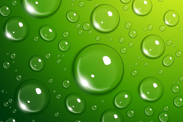 Капли воды на зелёном фоне