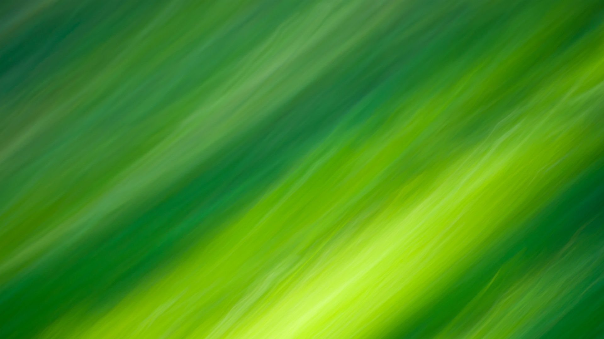 vert lignes couleurs