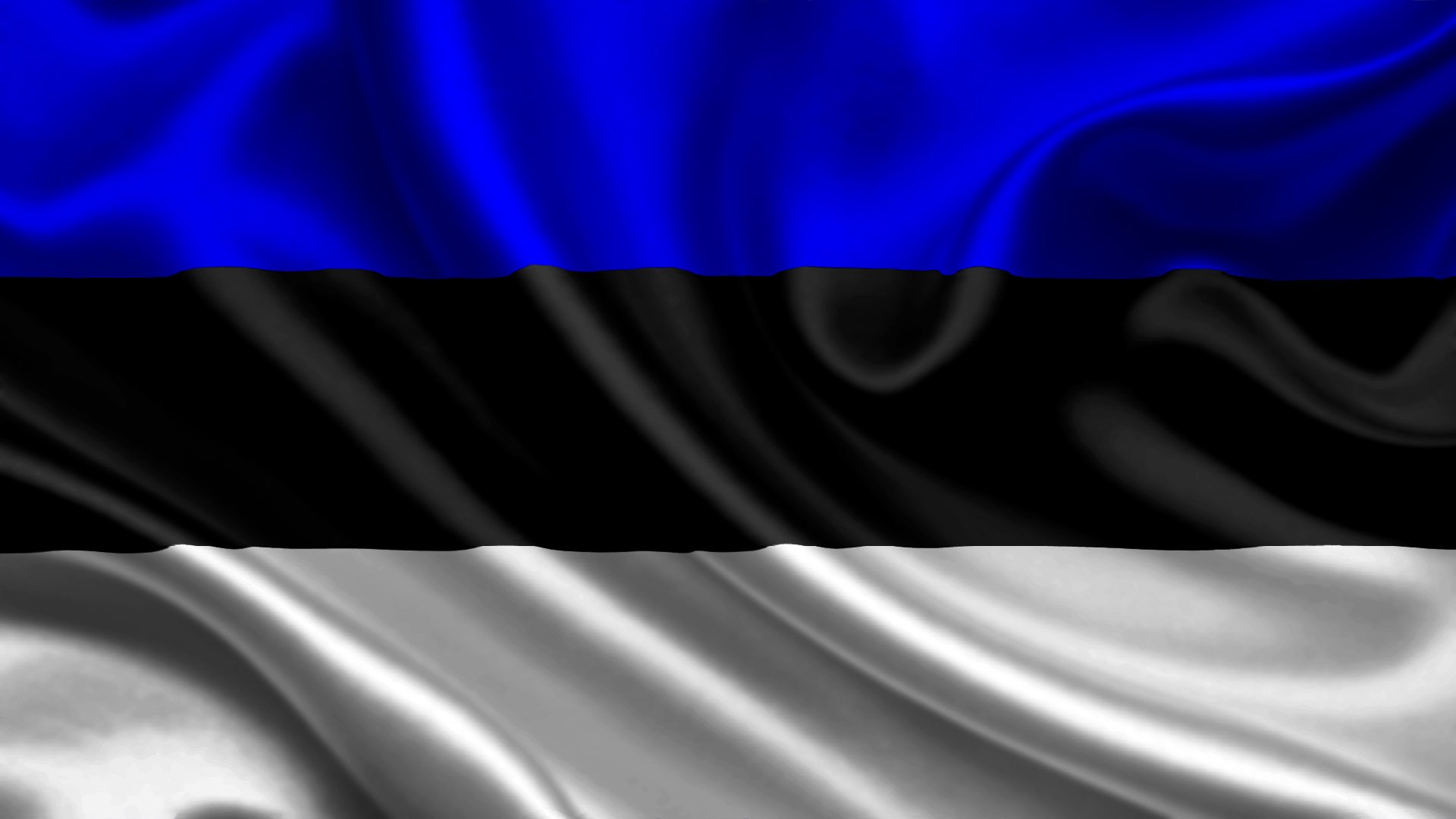 estonia flaga