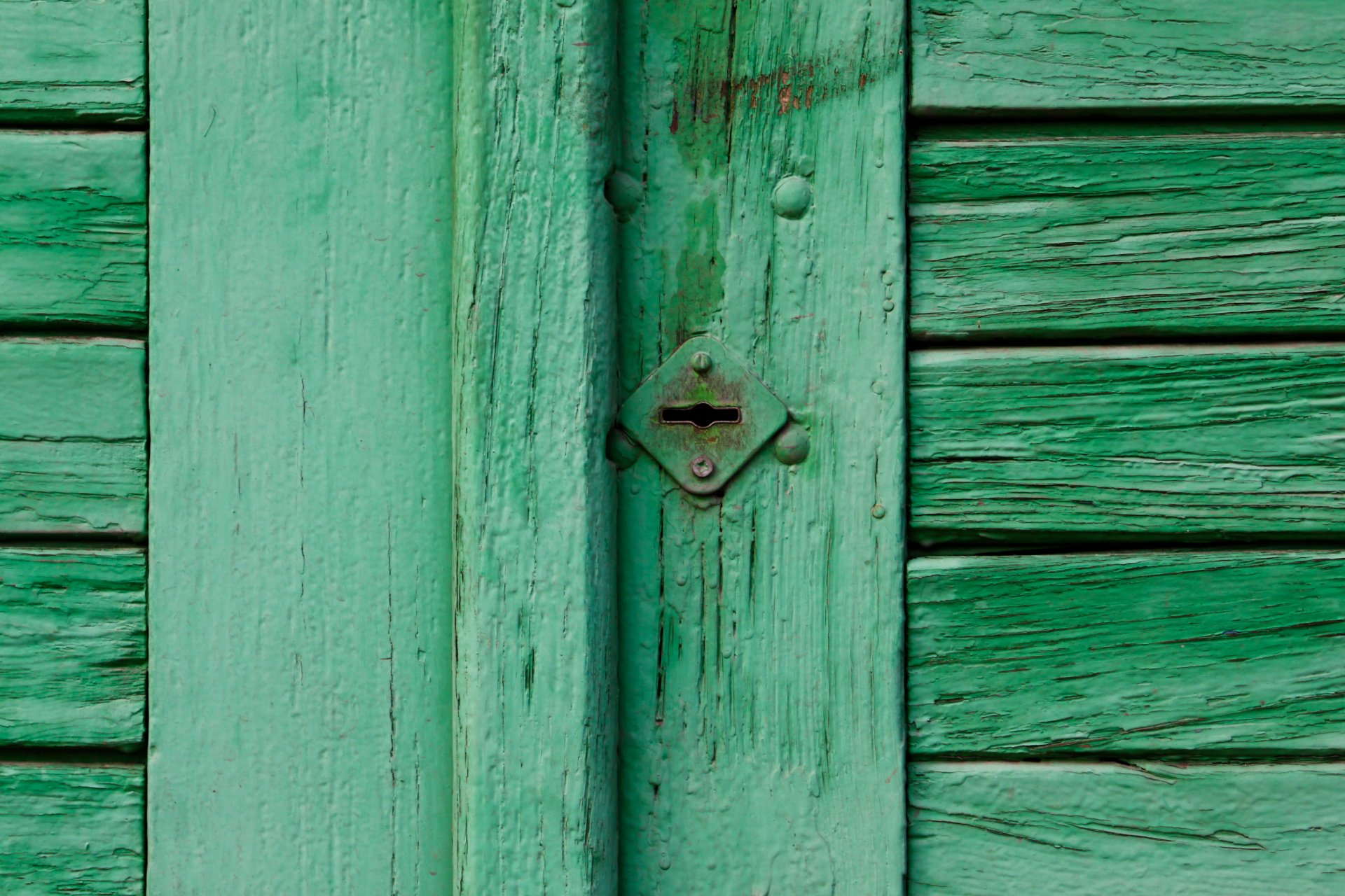 pattern wall door green