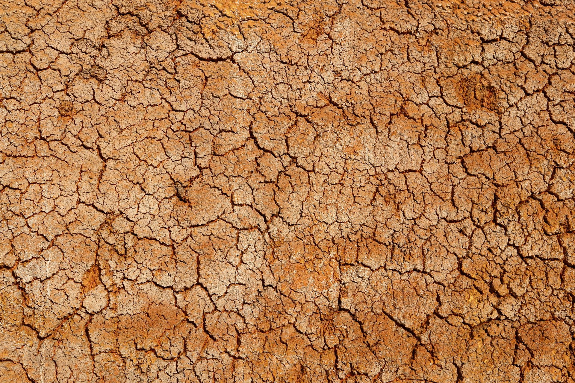 desert textures crack cork clay