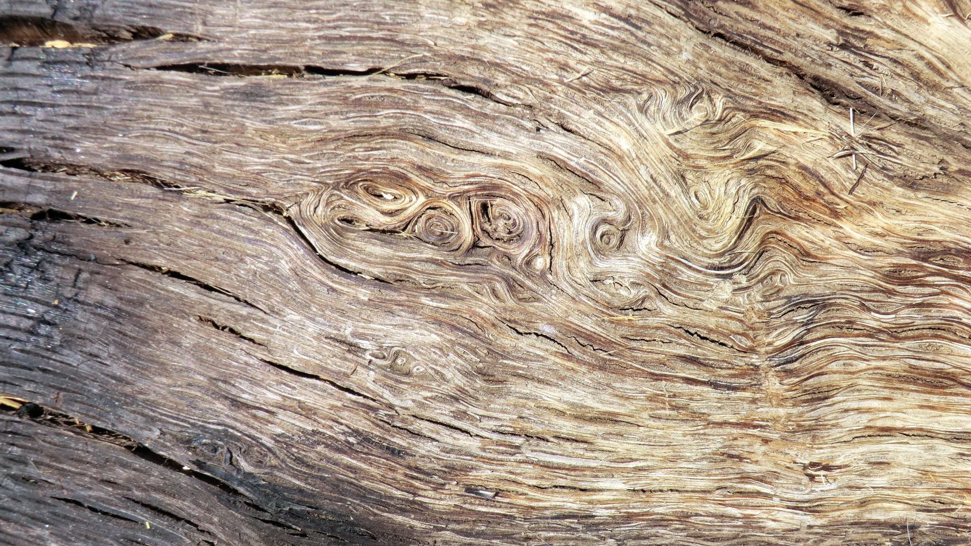 texture abstract wood