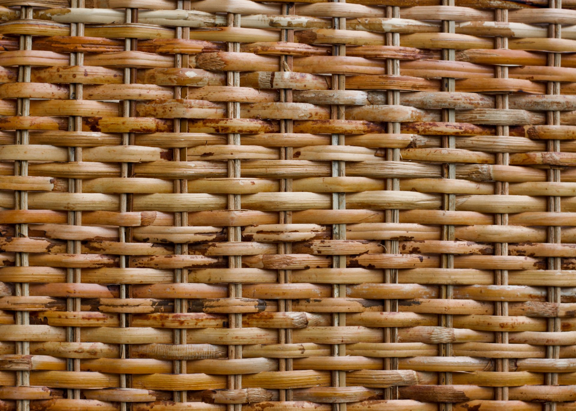 panier modèle